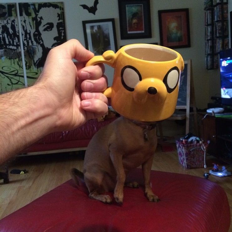 Illustration de l'article : He transforms the members of his family into superheroes thanks to his wacky mugs