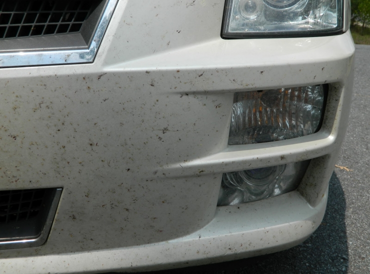 Illustration de l'article : Rubbing a fabric softener sheet on your car's bumper may turn out to be a brilliant tip!