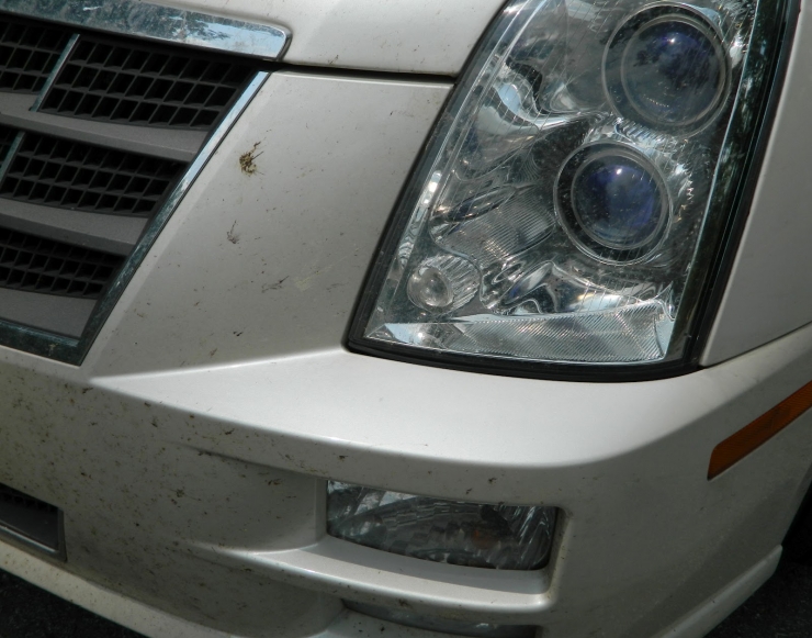 Illustration de l'article : Rubbing a fabric softener sheet on your car's bumper may turn out to be a brilliant tip!
