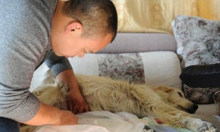 Illustration de l'article : This Chinese millionaire spent his entire fortune for a wonderful cause... Down to the last penny!