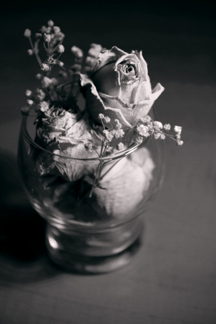 Illustration de l'article : Don't throw away those anti-moisture pouches that you find in your shoes anymore, because they can be very useful!