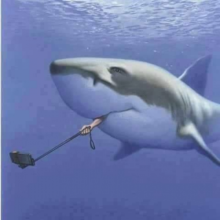 Illustration de l'article : These 15 drawings perfectly expose the modern world and its many excesses!