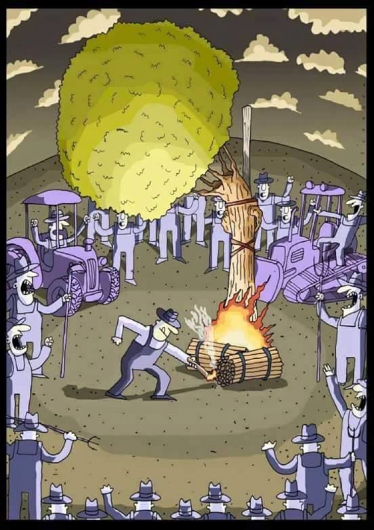 Illustration de l'article : These 15 drawings perfectly expose the modern world and its many excesses!