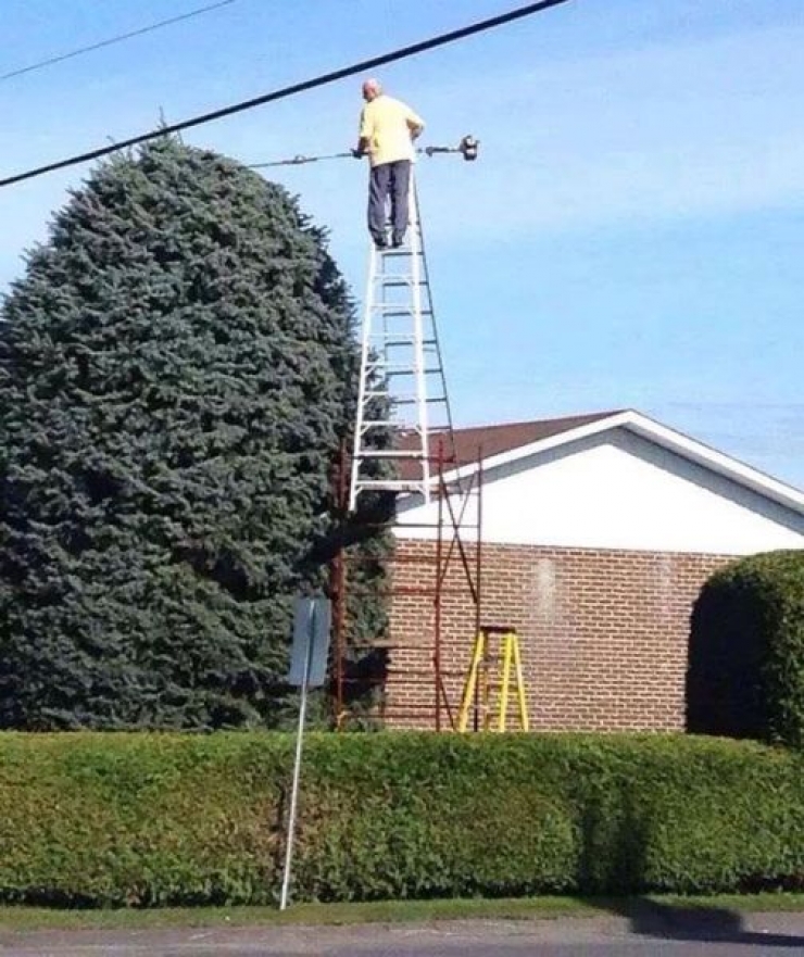 Illustration de l'article : 44 photos that explain why women live longer than men...