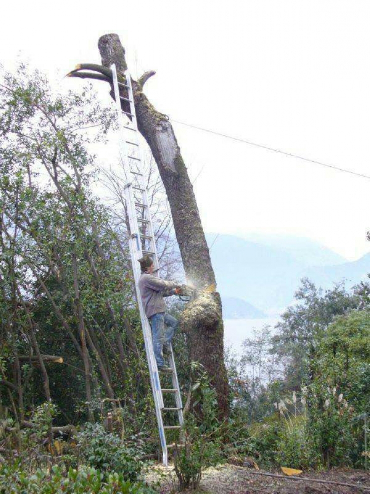 Illustration de l'article : 44 photos that explain why women live longer than men...