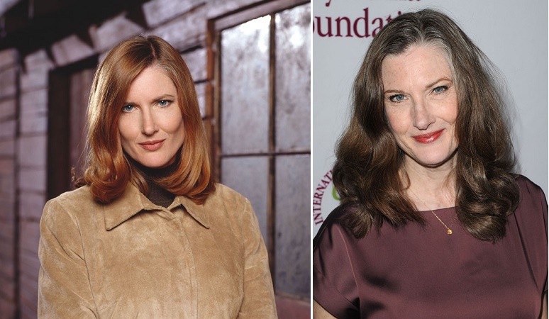 Illustration de l'article : What do the actors and actresses from the TV show “Smallville” look like 16 years later?