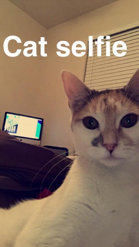 Illustration de l'article : 10 Snapchats that we can’t stand! Which ones are the most annoying?