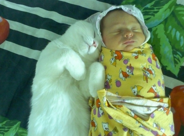 Illustration de l'article : Only those who have children can understand these 20 photos...