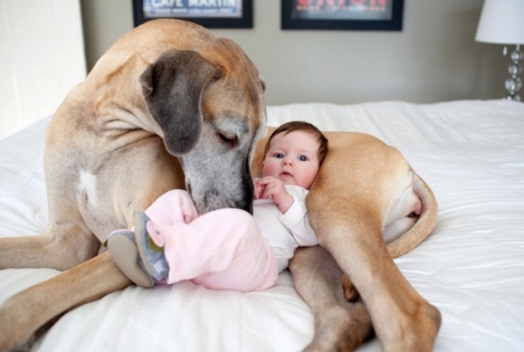 Illustration de l'article : Only those who have children can understand these 20 photos...