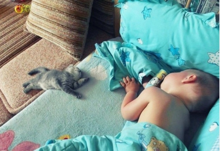 Illustration de l'article : Only those who have children can understand these 20 photos...