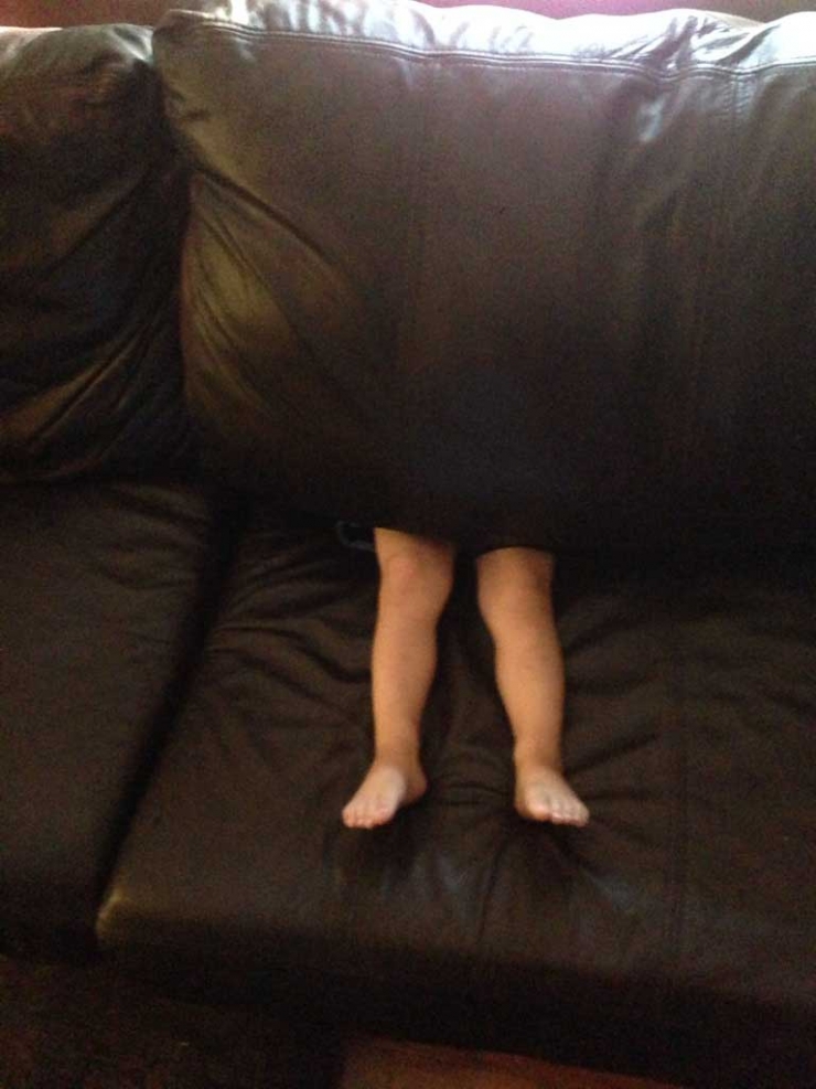 Illustration de l'article : These 14 children clearly have a lot to learn about playing hide and seek...