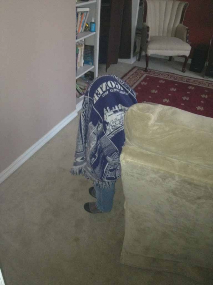 Illustration de l'article : These 14 children clearly have a lot to learn about playing hide and seek...