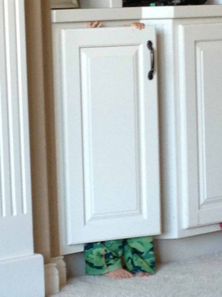 Illustration de l'article : These 14 children clearly have a lot to learn about playing hide and seek...