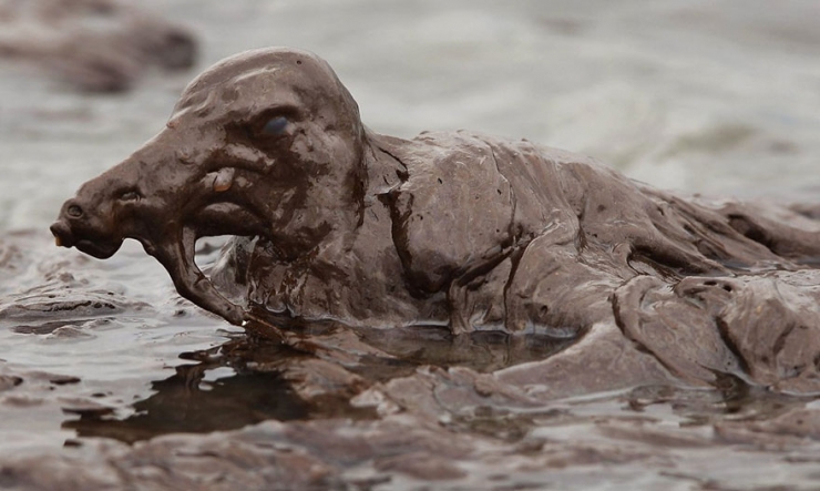 Illustration de l'article : These 22 photos should educate everyone about the environment... Things have to change!