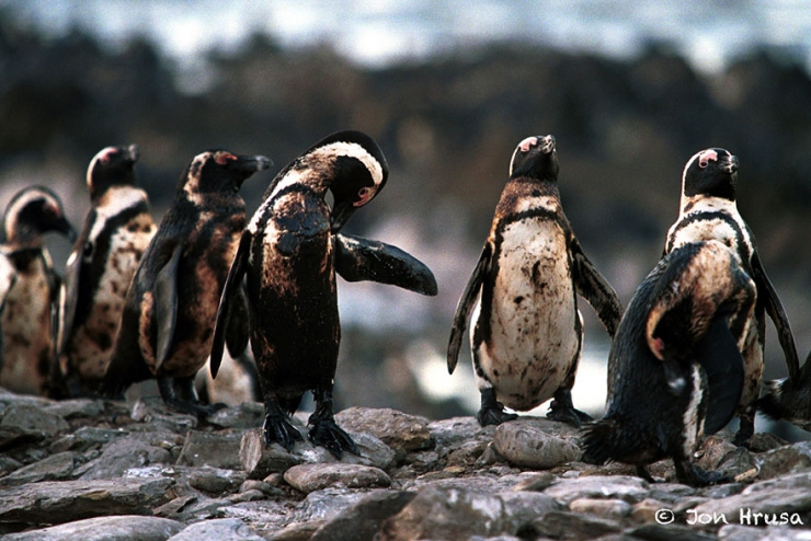 Illustration de l'article : These 22 photos should educate everyone about the environment... Things have to change!