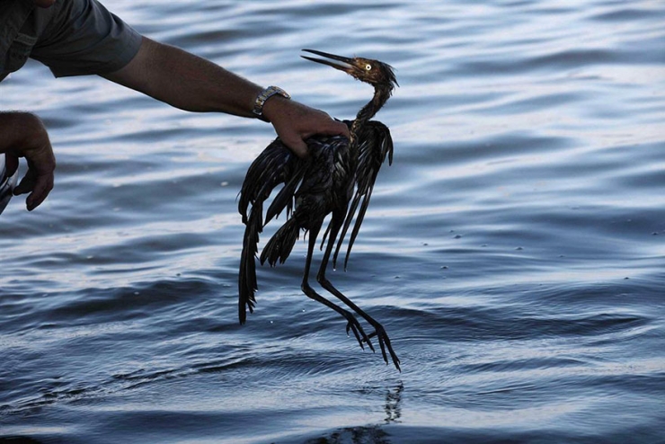 Illustration de l'article : These 22 photos should educate everyone about the environment... Things have to change!