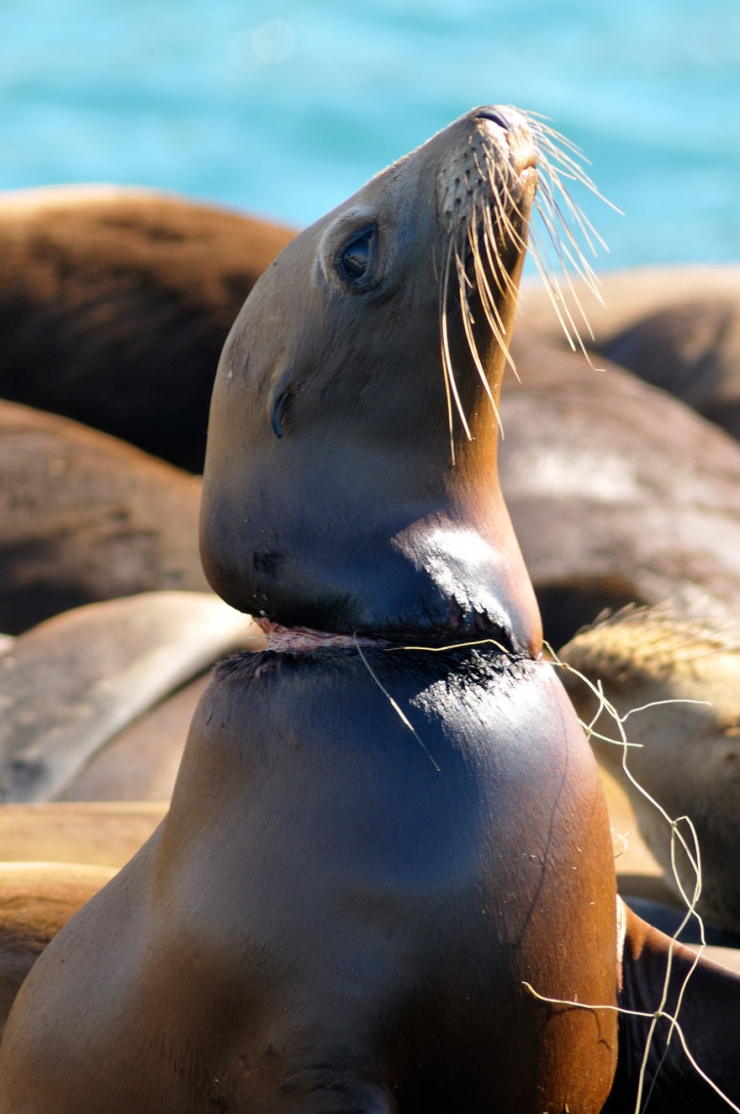 Illustration de l'article : These 22 photos should educate everyone about the environment... Things have to change!