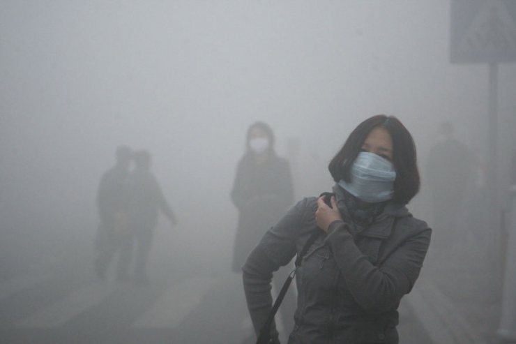 Illustration de l'article : These 22 photos should educate everyone about the environment... Things have to change!