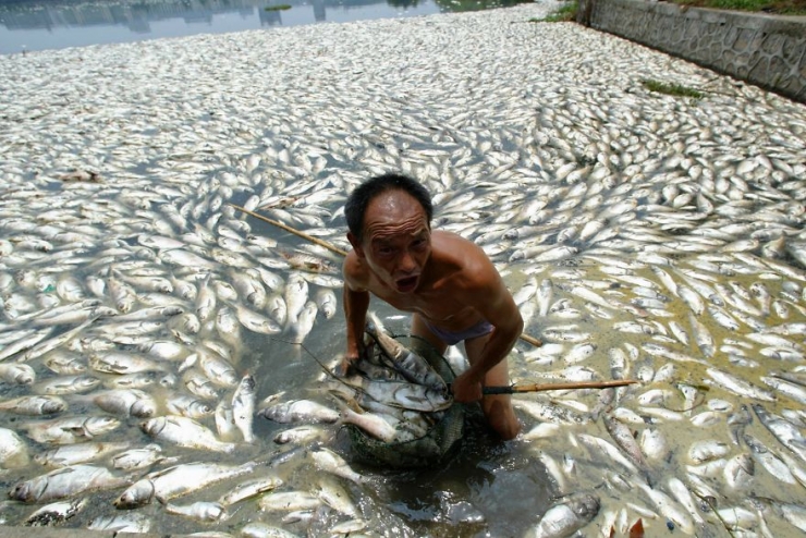 Illustration de l'article : These 22 photos should educate everyone about the environment... Things have to change!