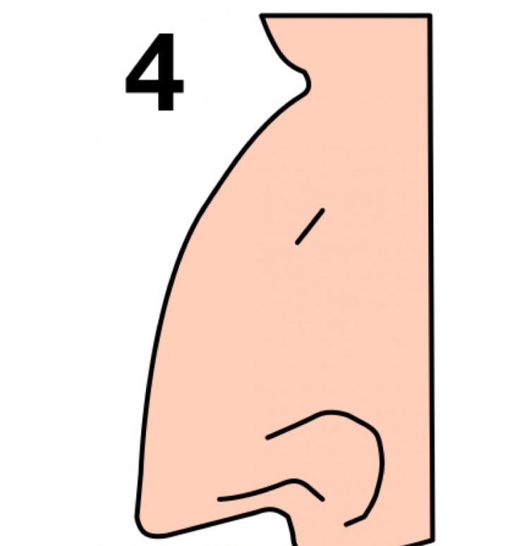 Illustration de l'article : The shape of your nose can say a lot about your personality... Here's what you need to know!