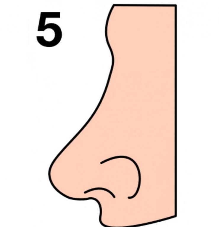 Illustration de l'article : The shape of your nose can say a lot about your personality... Here's what you need to know!