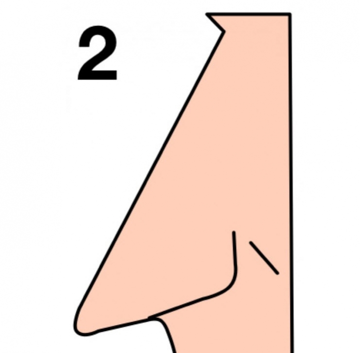 Illustration de l'article : The shape of your nose can say a lot about your personality... Here's what you need to know!