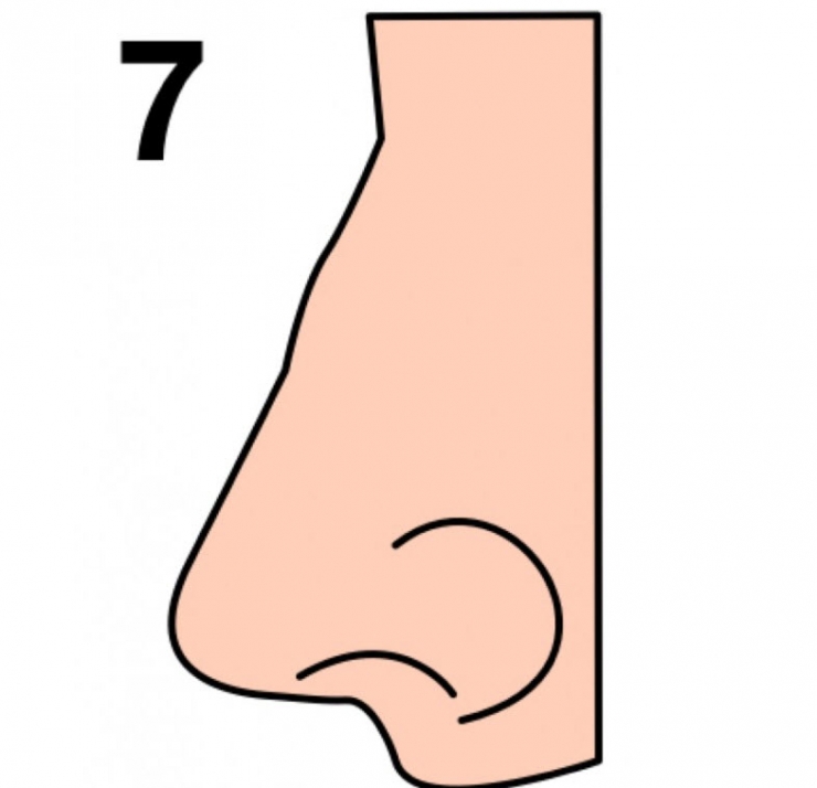 Illustration de l'article : The shape of your nose can say a lot about your personality... Here's what you need to know!