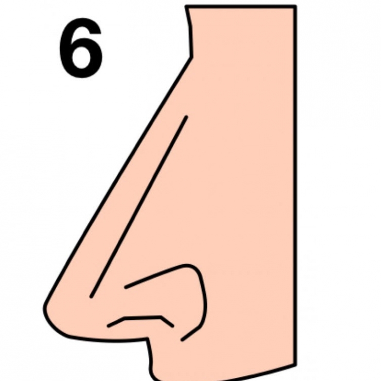 Illustration de l'article : The shape of your nose can say a lot about your personality... Here's what you need to know!