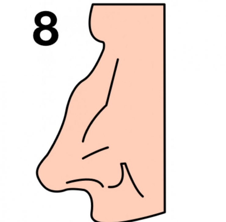 Illustration de l'article : The shape of your nose can say a lot about your personality... Here's what you need to know!