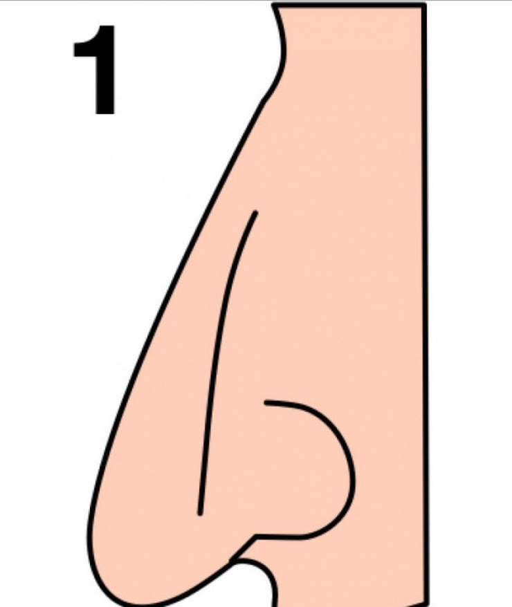 Illustration de l'article : The shape of your nose can say a lot about your personality... Here's what you need to know!