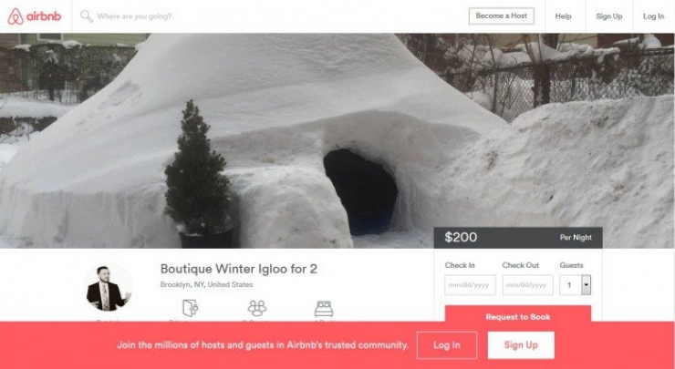 Illustration de l'article : He built an igloo and put it up for rent on Airbnb... They deleted the ad and sent him a funny message!