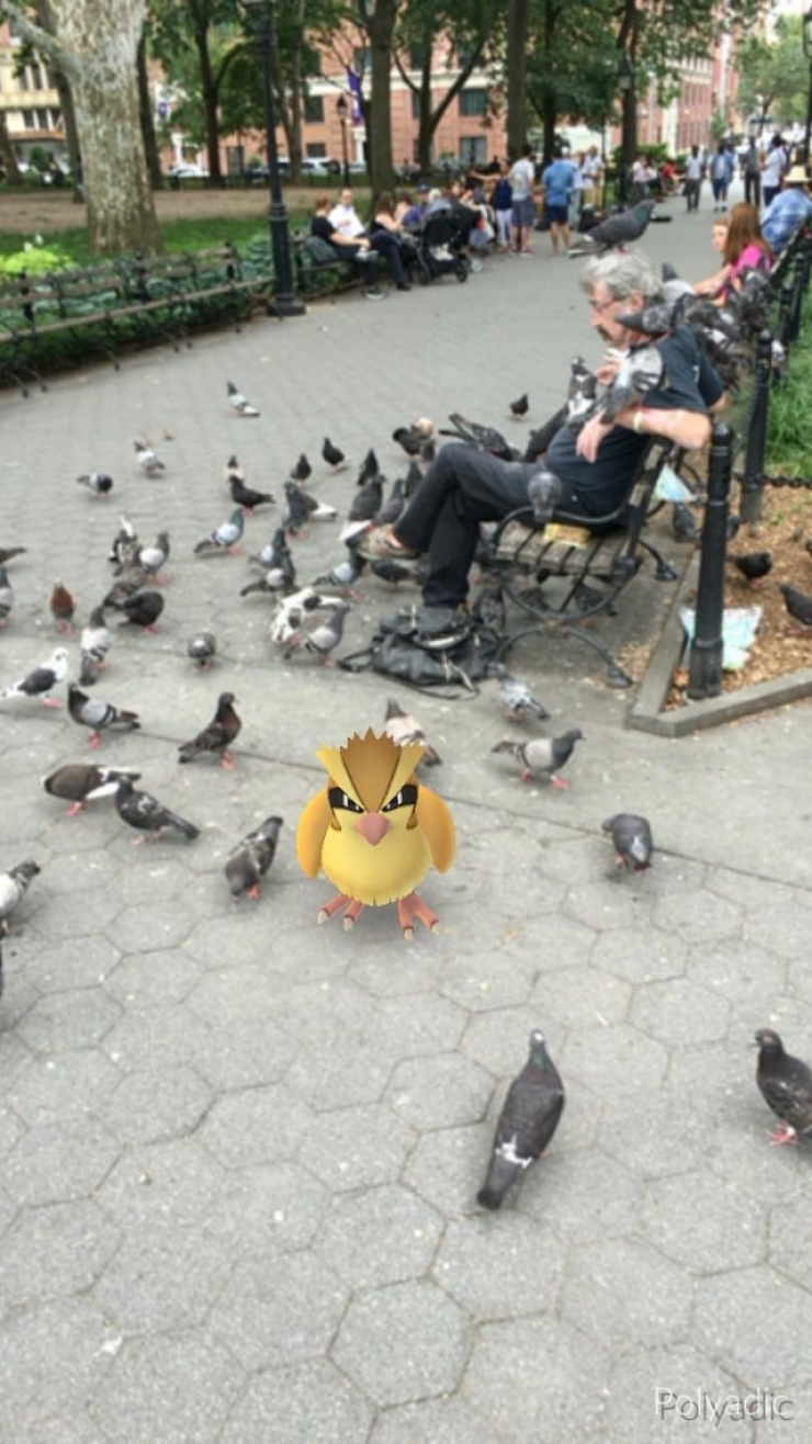 Illustration de l'article : Top 25 screenshots of Pokémon Go taken at the perfect time!