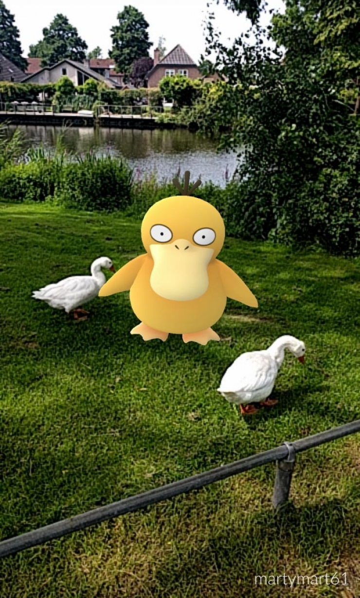 Illustration de l'article : Top 25 screenshots of Pokémon Go taken at the perfect time!