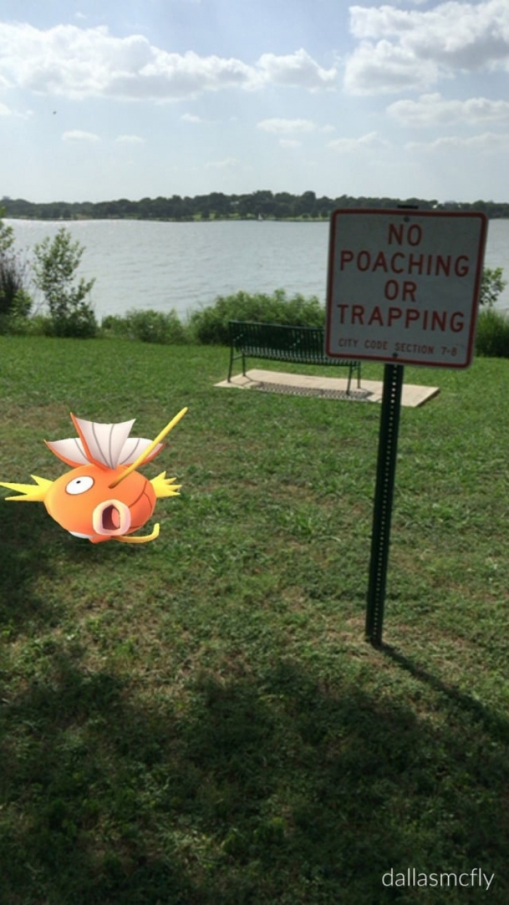 Illustration de l'article : Top 25 screenshots of Pokémon Go taken at the perfect time!