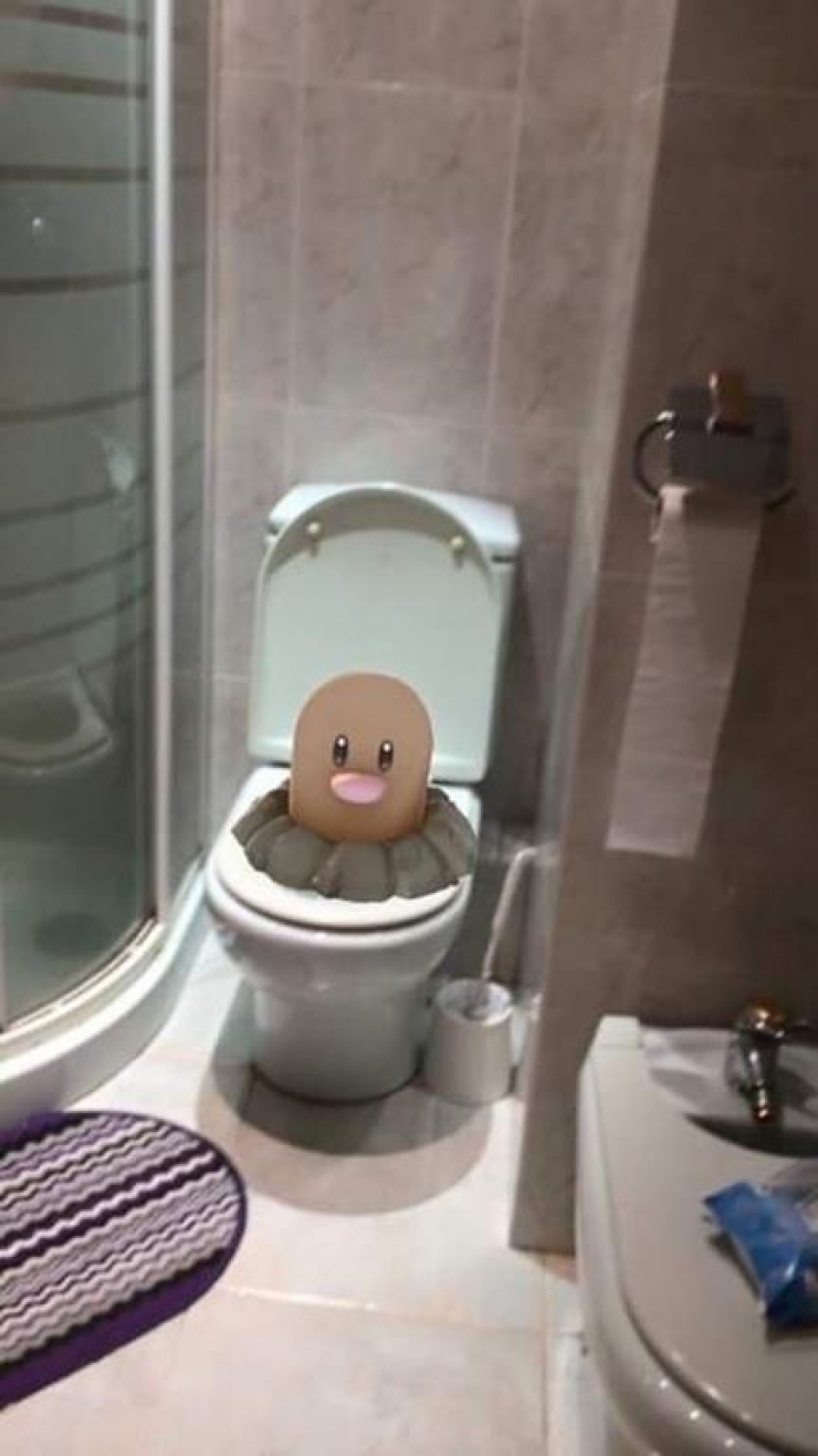 Illustration de l'article : Top 25 screenshots of Pokémon Go taken at the perfect time!