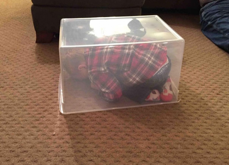 Illustration de l'article : These 21 kids haven't quite yet mastered all the ins-and-outs of the game of hide and seek