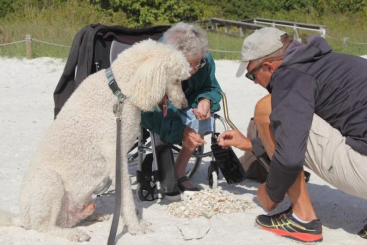 Illustration de l'article : "I said NO to chemotherapy" The moving story of an elderly lady who wants to live life to the fullest...