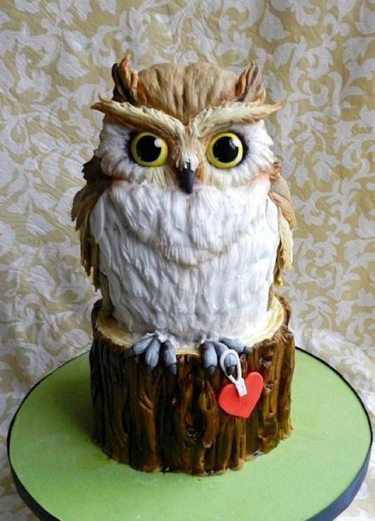 Illustration de l'article : 15 incredible cakes inspired by owls... "Who" comes up with such great things?
