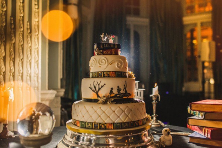 Illustration de l'article : Being big fans of Harry Potter, this couple absolutely wanted a magical wedding!