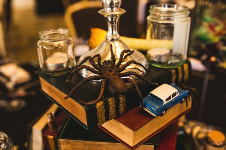 Illustration de l'article : Being big fans of Harry Potter, this couple absolutely wanted a magical wedding!