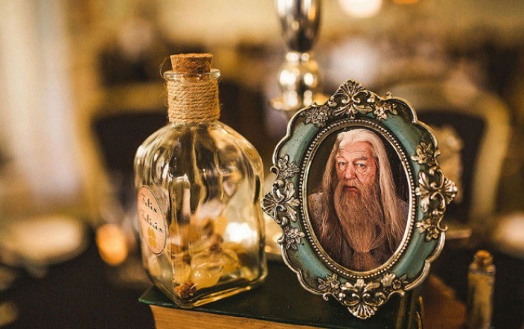 Illustration de l'article : Being big fans of Harry Potter, this couple absolutely wanted a magical wedding!