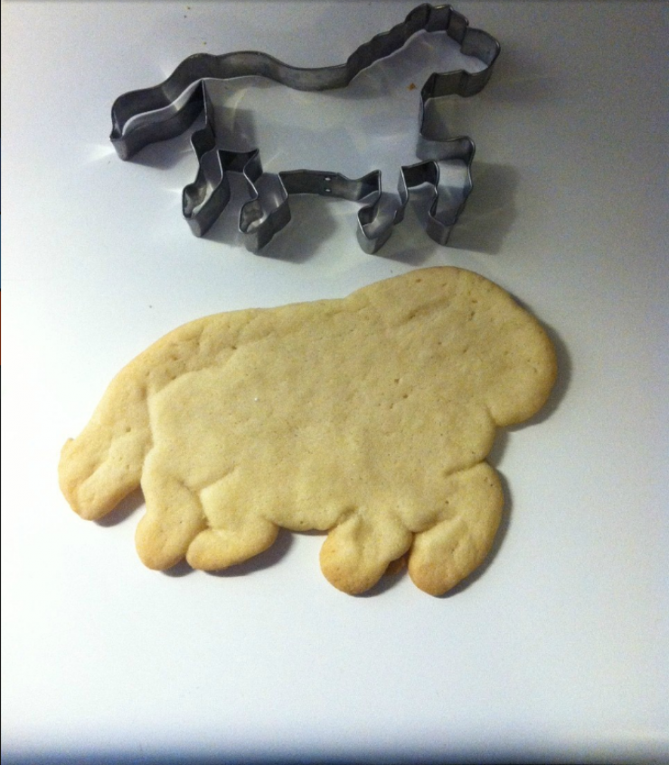 Illustration de l'article : Expectation vs. reality: when nothing goes as planned… Beware of scams!