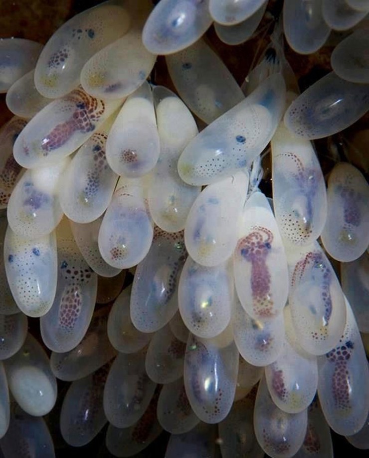 Illustration de l'article : The 18 most impressive photos that you absolutely have to see before you die!