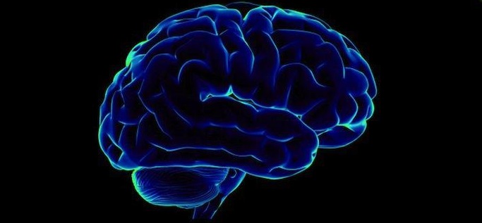 Illustration de l'article : 23 facts about the human body that will surprise you every time!