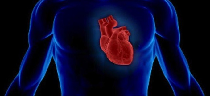 Illustration de l'article : 23 facts about the human body that will surprise you every time!