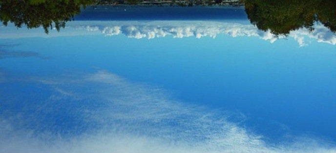 Illustration de l'article : 23 facts about the human body that will surprise you every time!