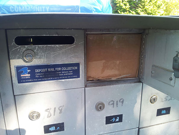 Illustration de l'article : 14 delivery people who completely failed at their deliveries