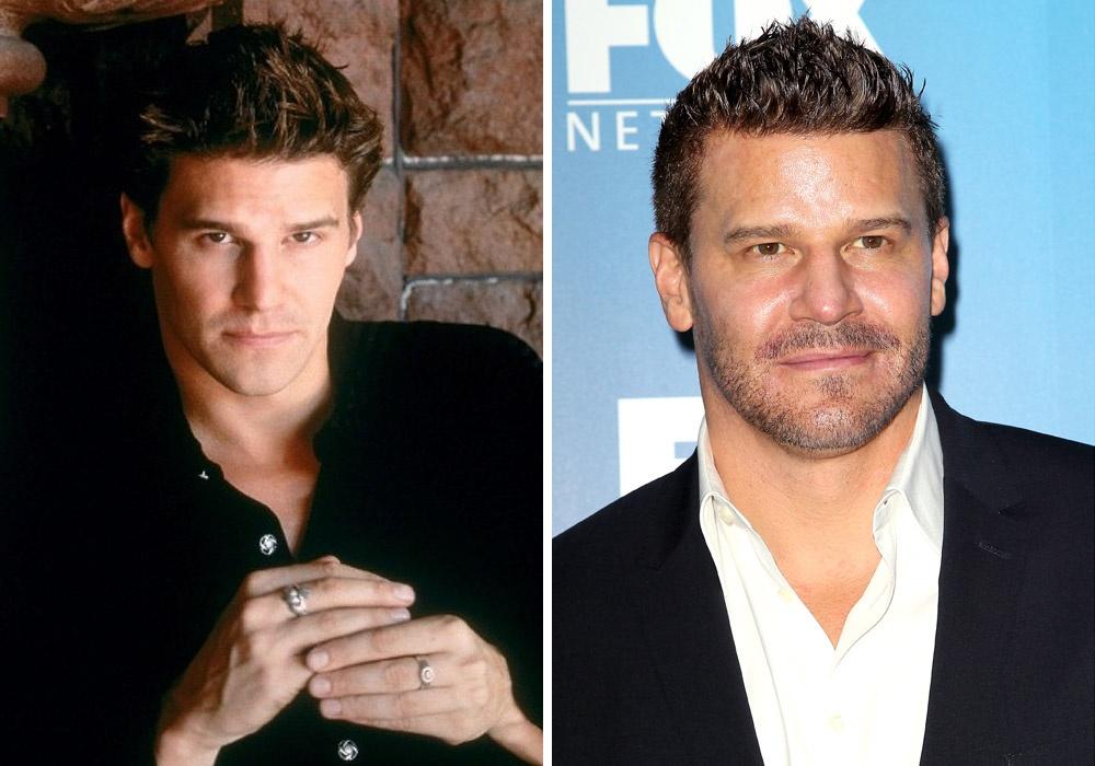 Illustration de l'article : 13 actors from 20 years ago, what do they look like now?