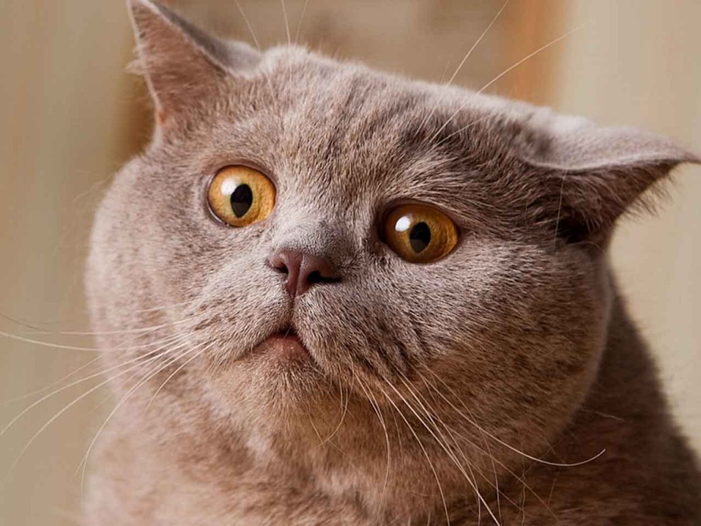 Illustration de l'article : 14 things women do that men still don’t understand