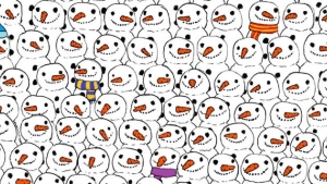 Illustration : "Can you find the panda hidden in this picture in less than a minute? It's not as easy as it looks..."